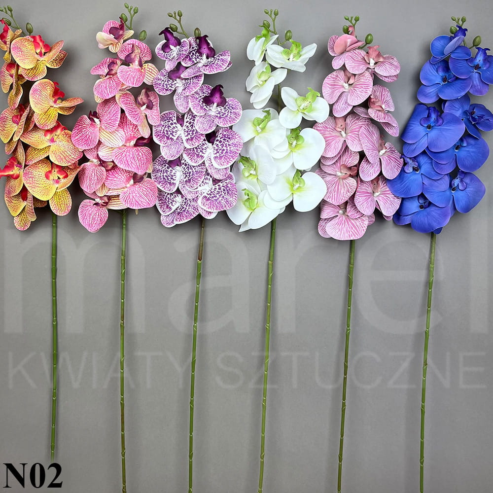 RUBBER ORCHID ASST N02.jpg