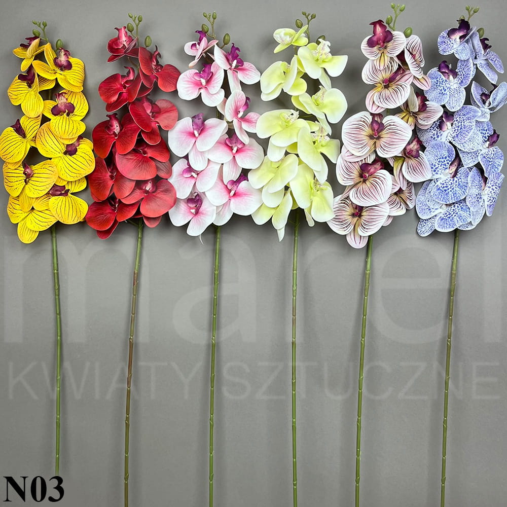 RUBBER ORCHID ASST N03.jpg