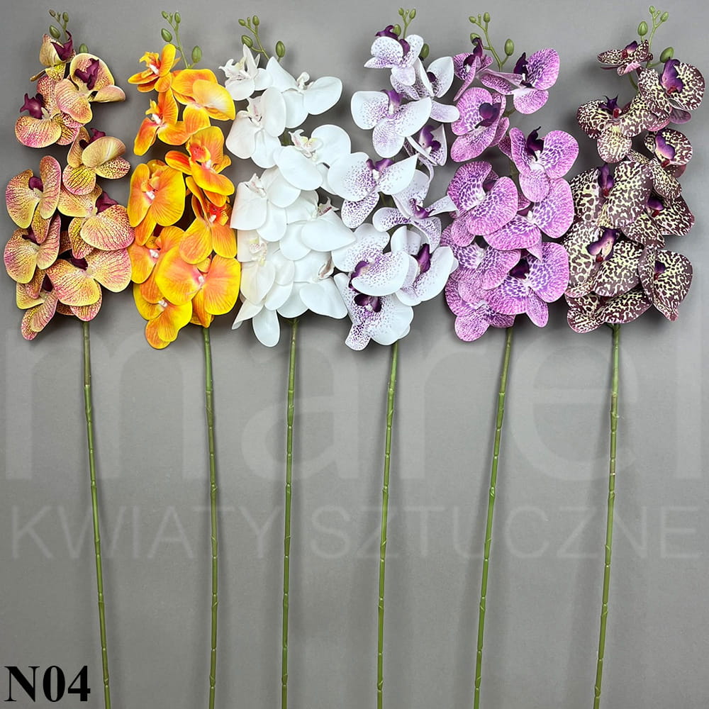 RUBBER ORCHID ASST N04.jpg