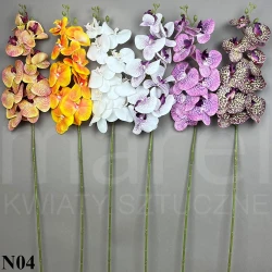 Storczyk RUBBER ORCHID