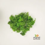 Mech Grass Green Light 10 paczek x 250g