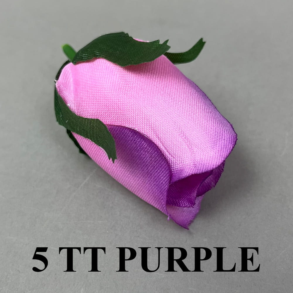 5 TT PURPLE.jpg