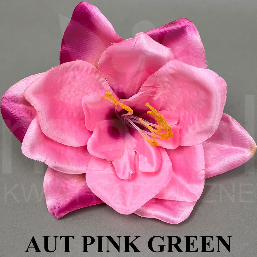 AUT PINK GREEN.jpg