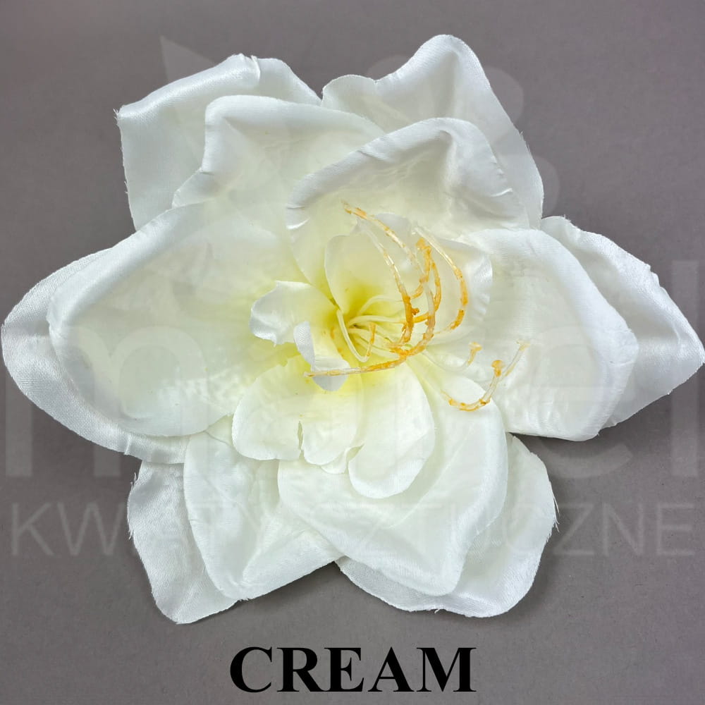 CREAM.jpg
