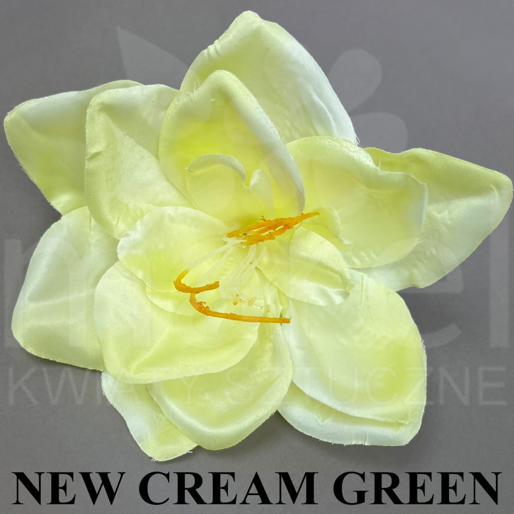 NEW CREAM GREEN.jpg