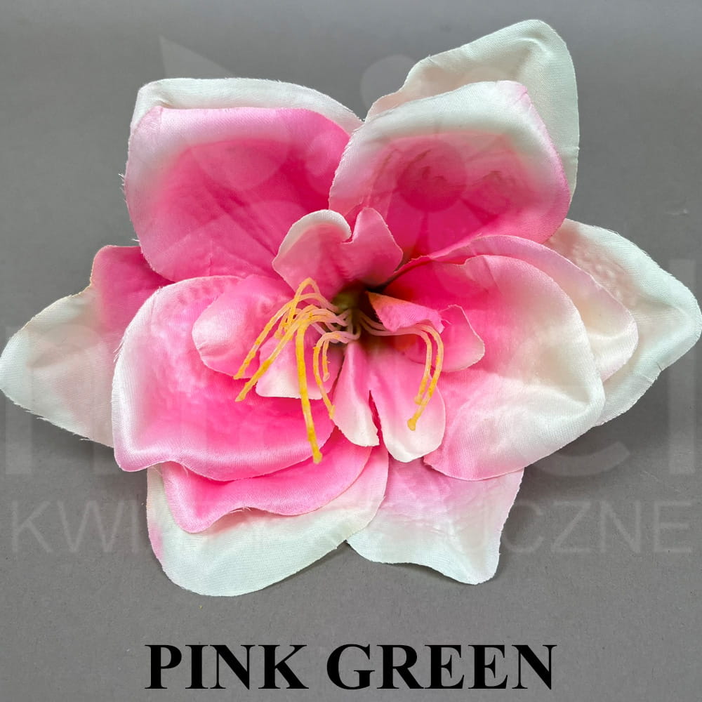 PINK GREEN.jpg