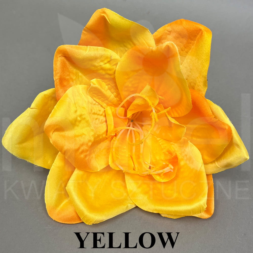 YELLOW.jpg