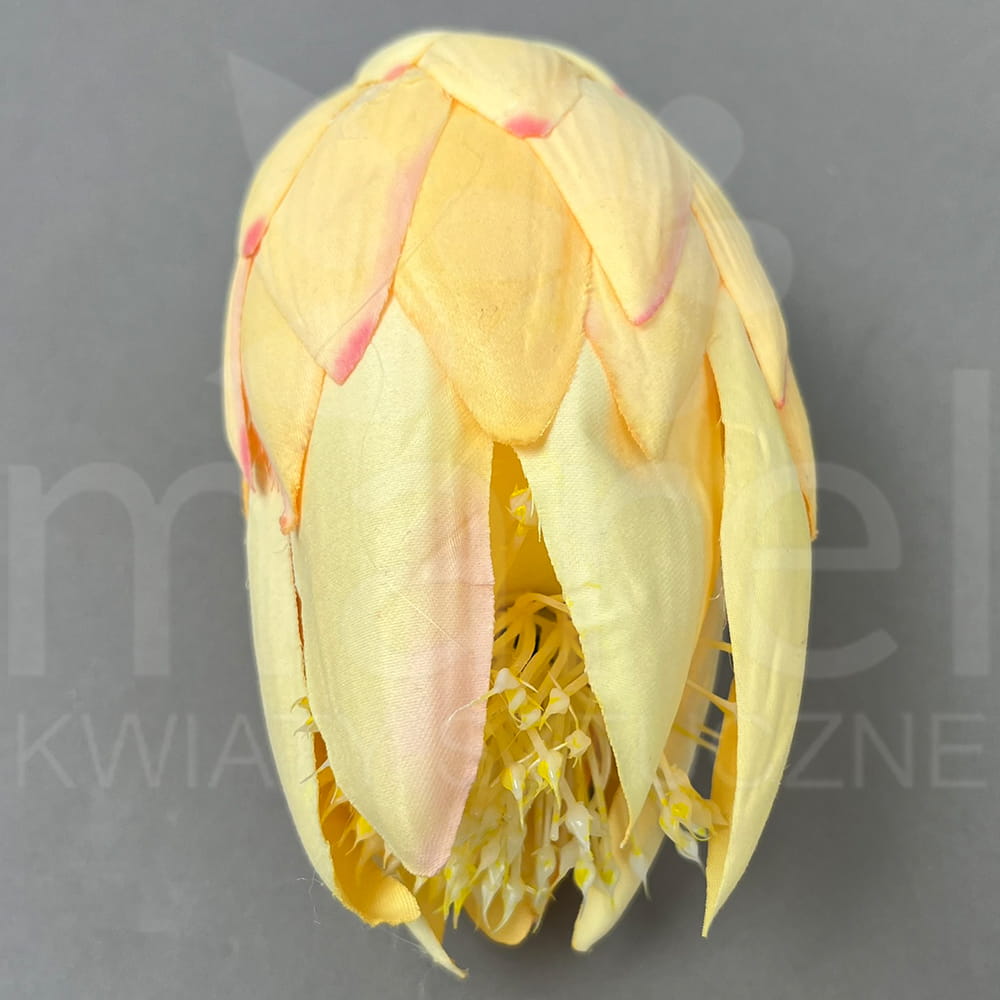 T194-24-1601 POJ.jpg