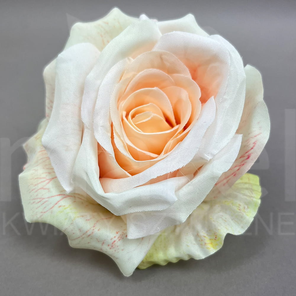 T137-23-1129 3D MIX2 przyb.jpg