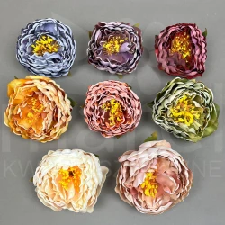 Piwonia HD339294 MIX