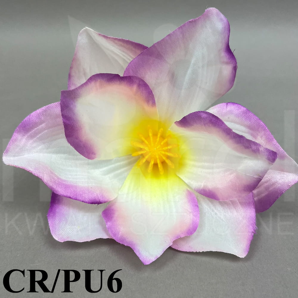 CR PU6.jpg