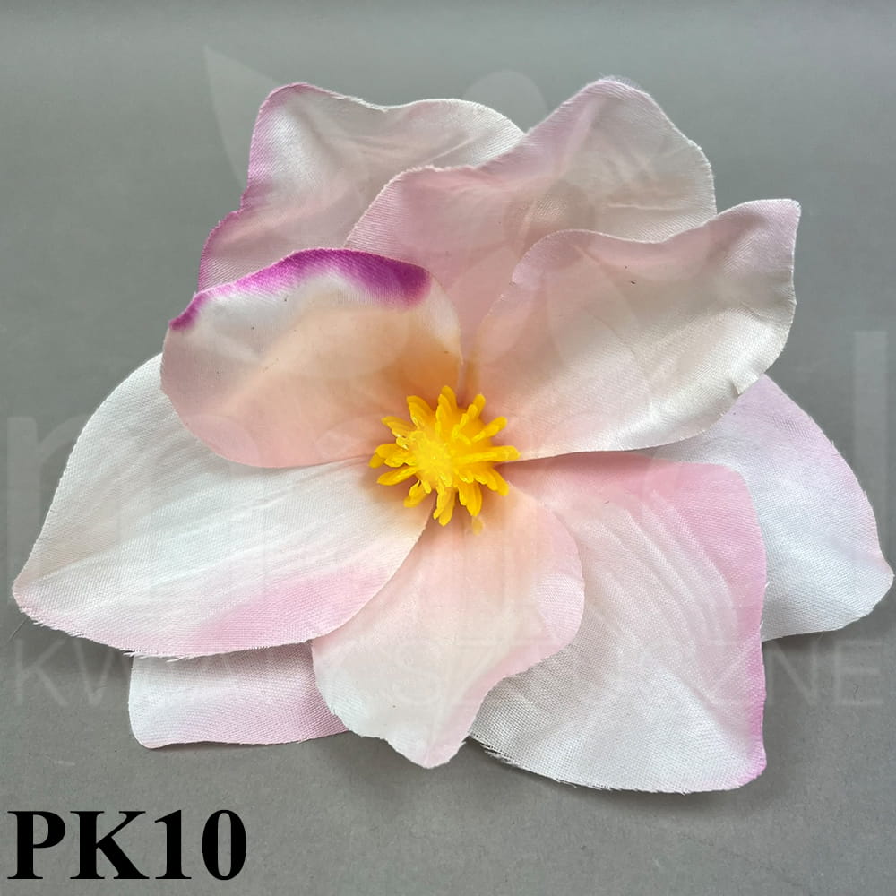 PK10.jpg