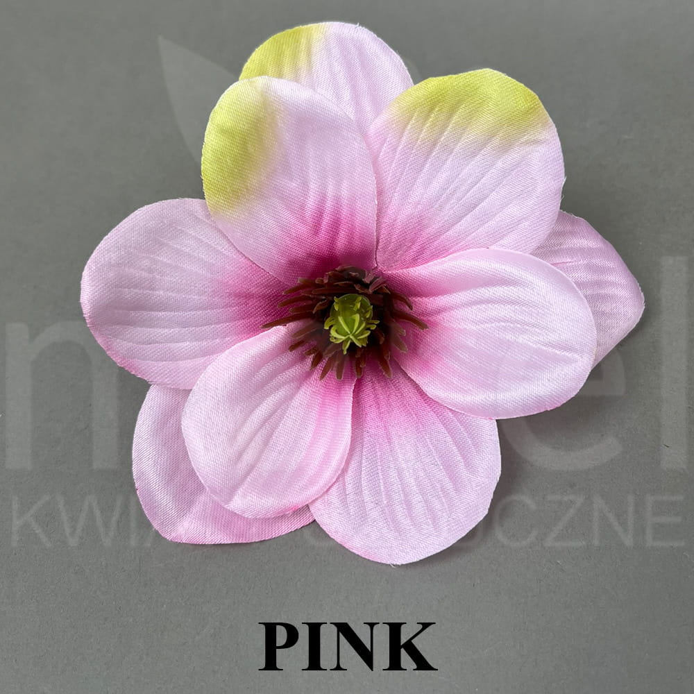 PINK.jpg