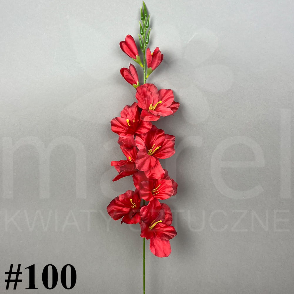 #100.jpg