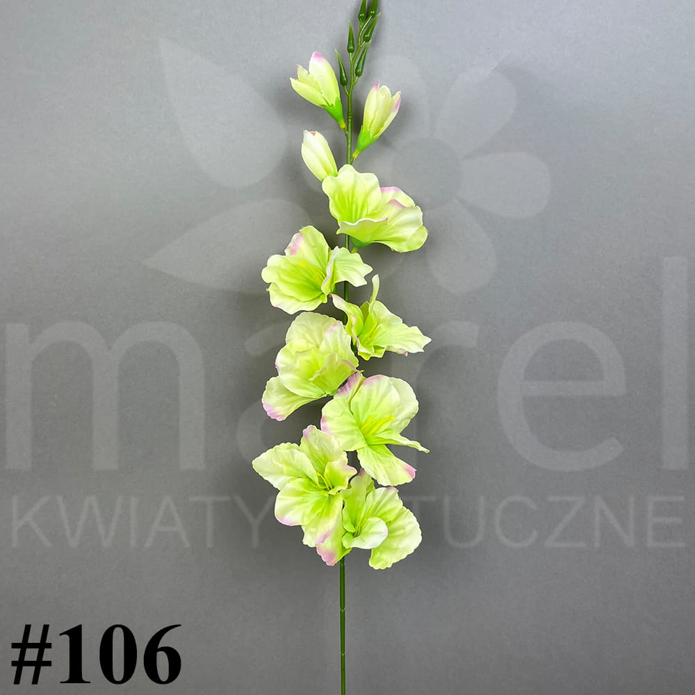 #106.jpg