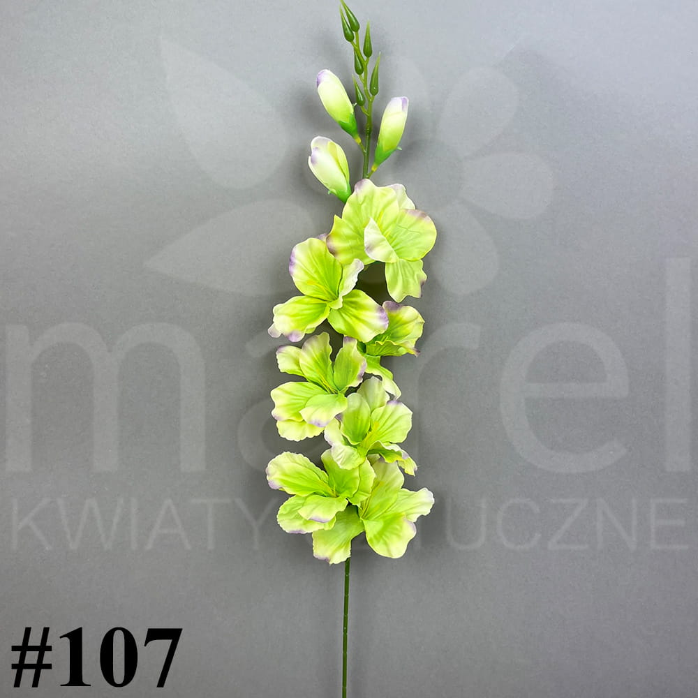 #107.jpg