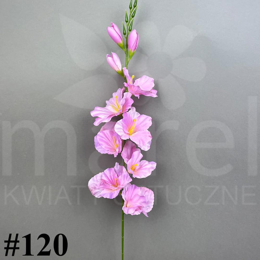 #120.jpg