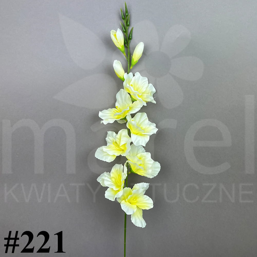 #221.jpg