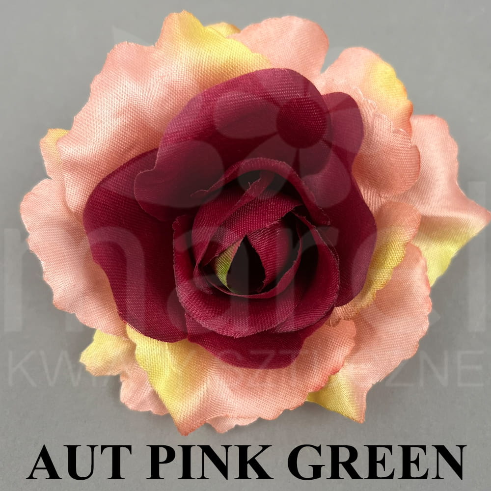AUT PINK GREEN.jpg
