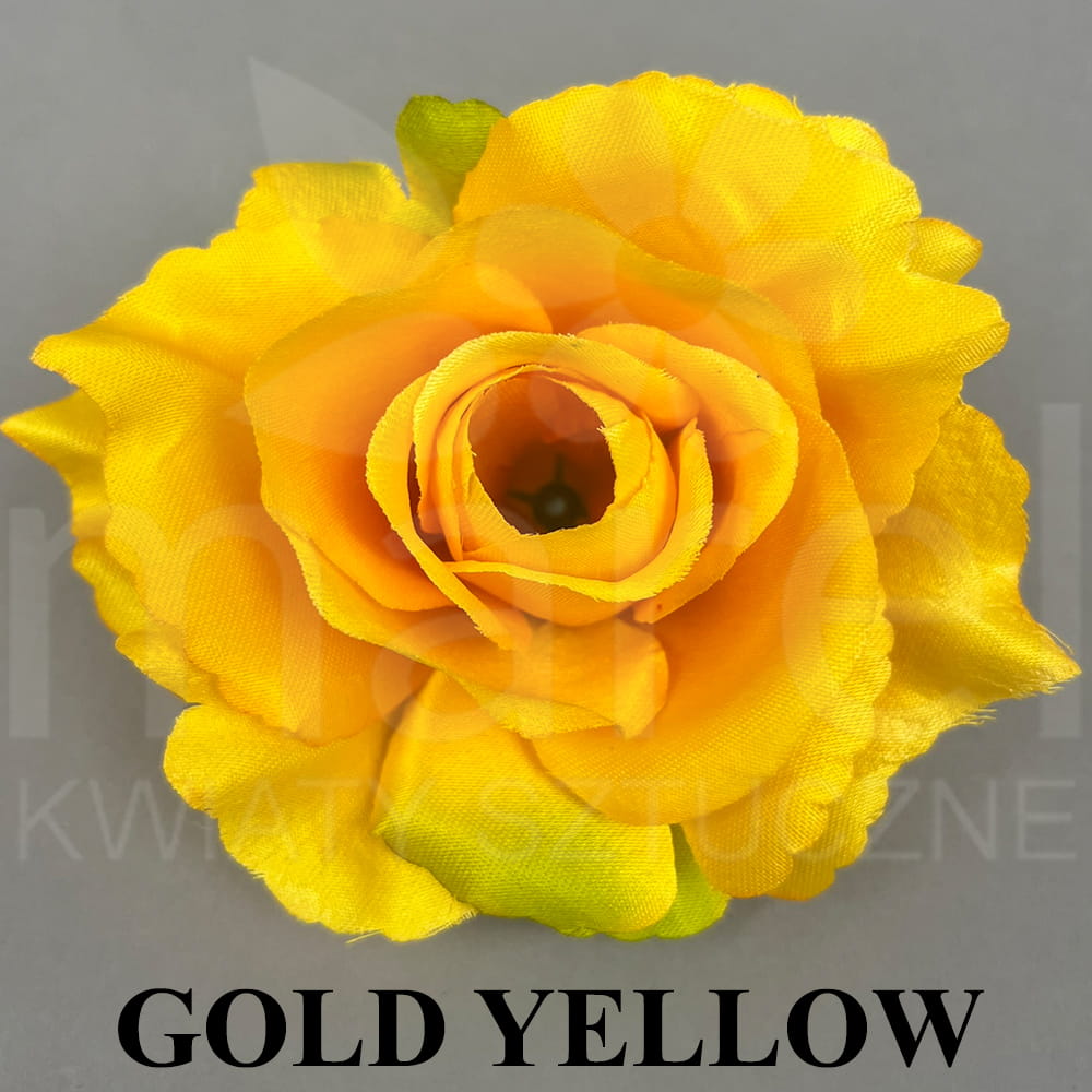 GOLD YELLOW.jpg