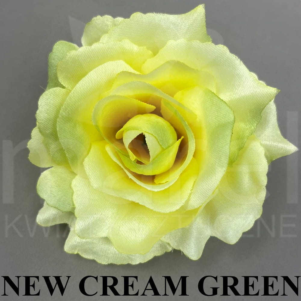 NEW CREAM GREEN.jpg