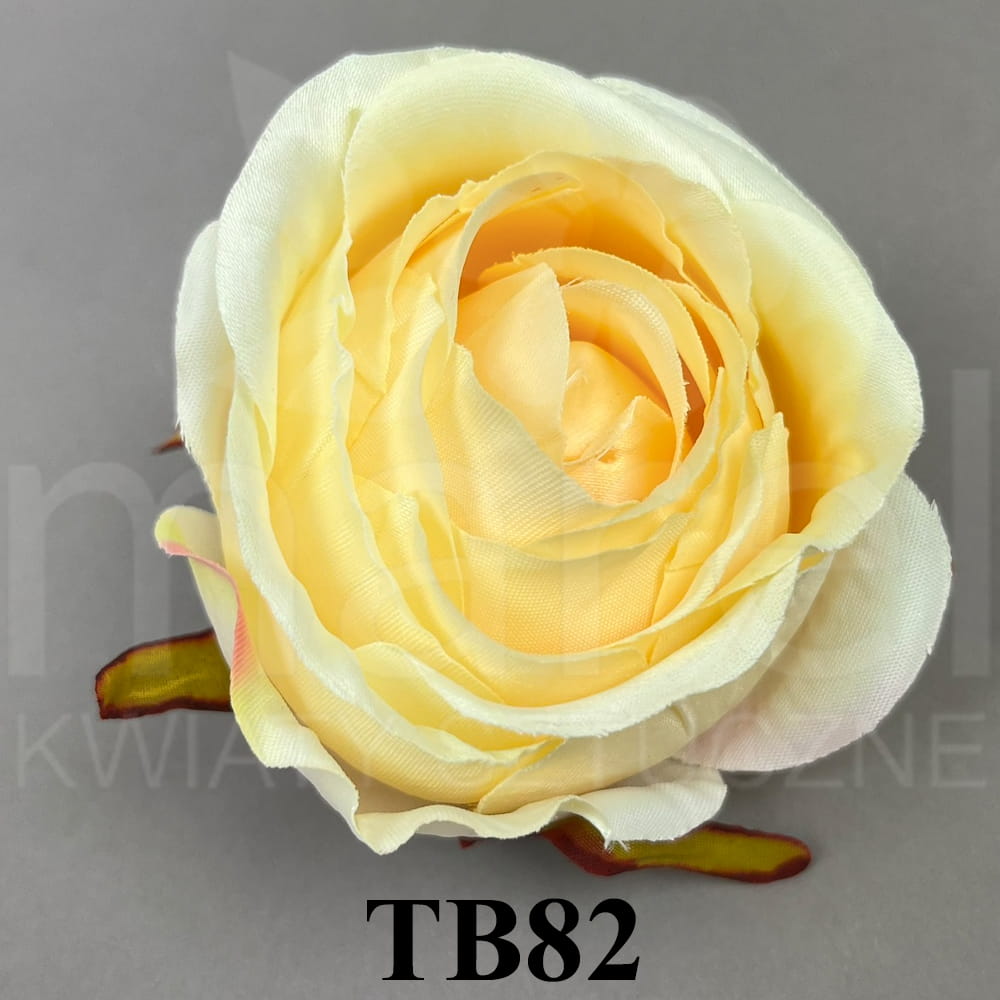 TB82.jpg