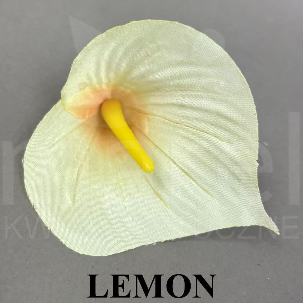 LEMON.jpg