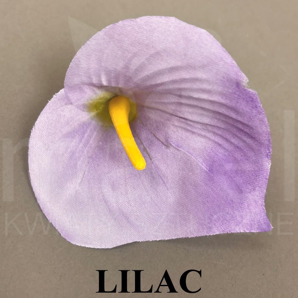 LILAC.jpg
