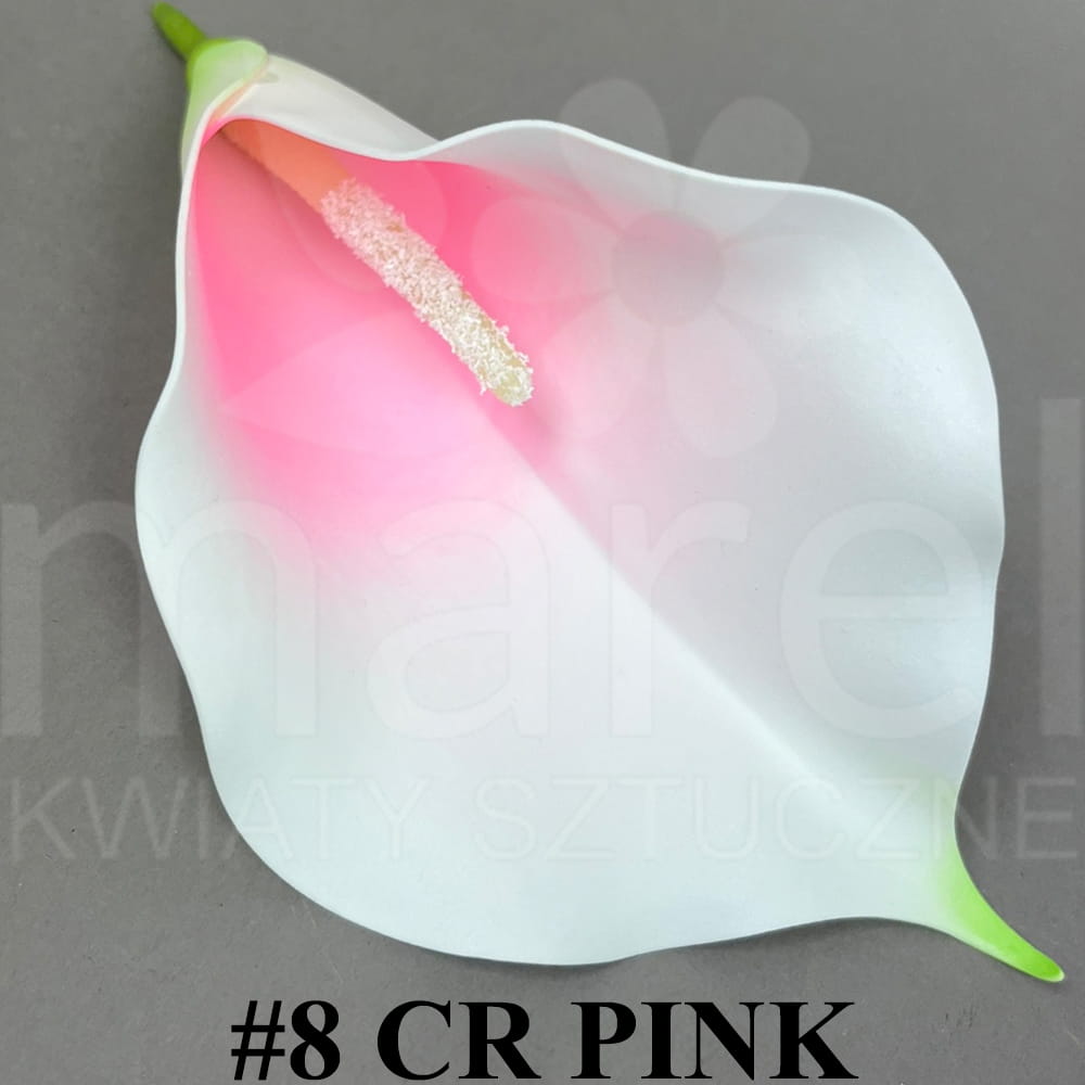 #8 CR PINK.jpg