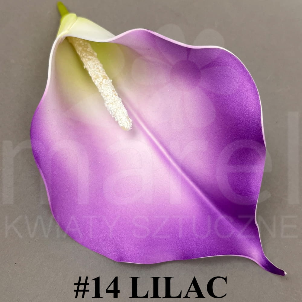 #14 LILAC.jpg