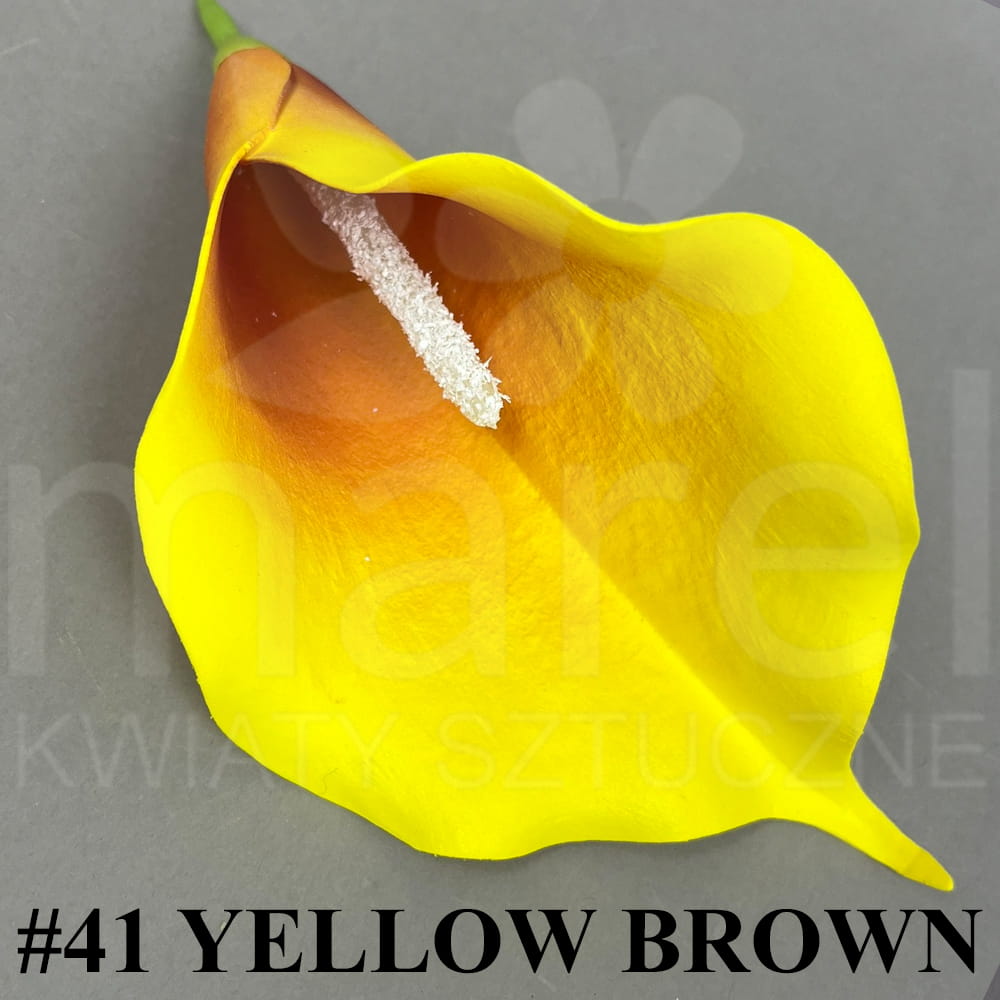 #41 YELLOW BROWN.jpg
