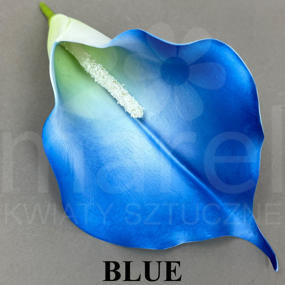 BLUE.jpg