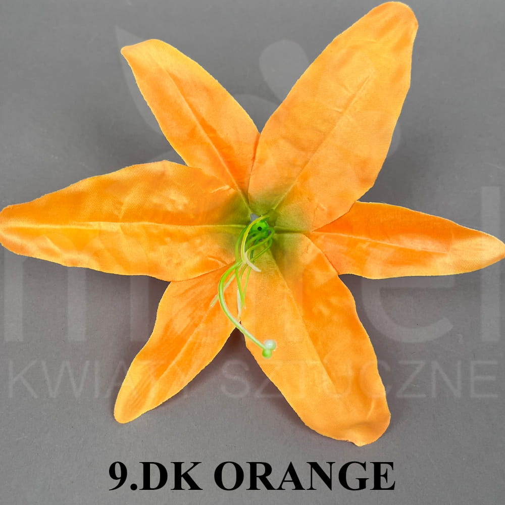 9.DK ORANGE.jpg