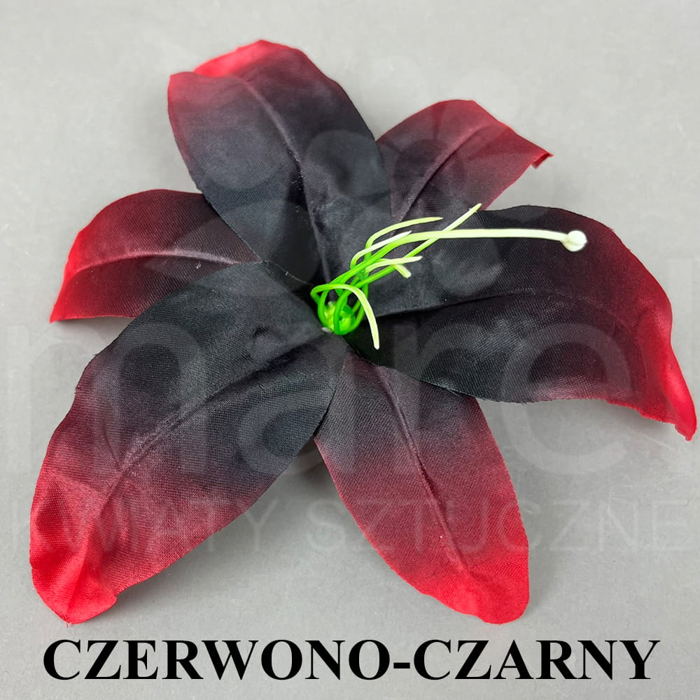 CZERWONO-CZARNY.jpg