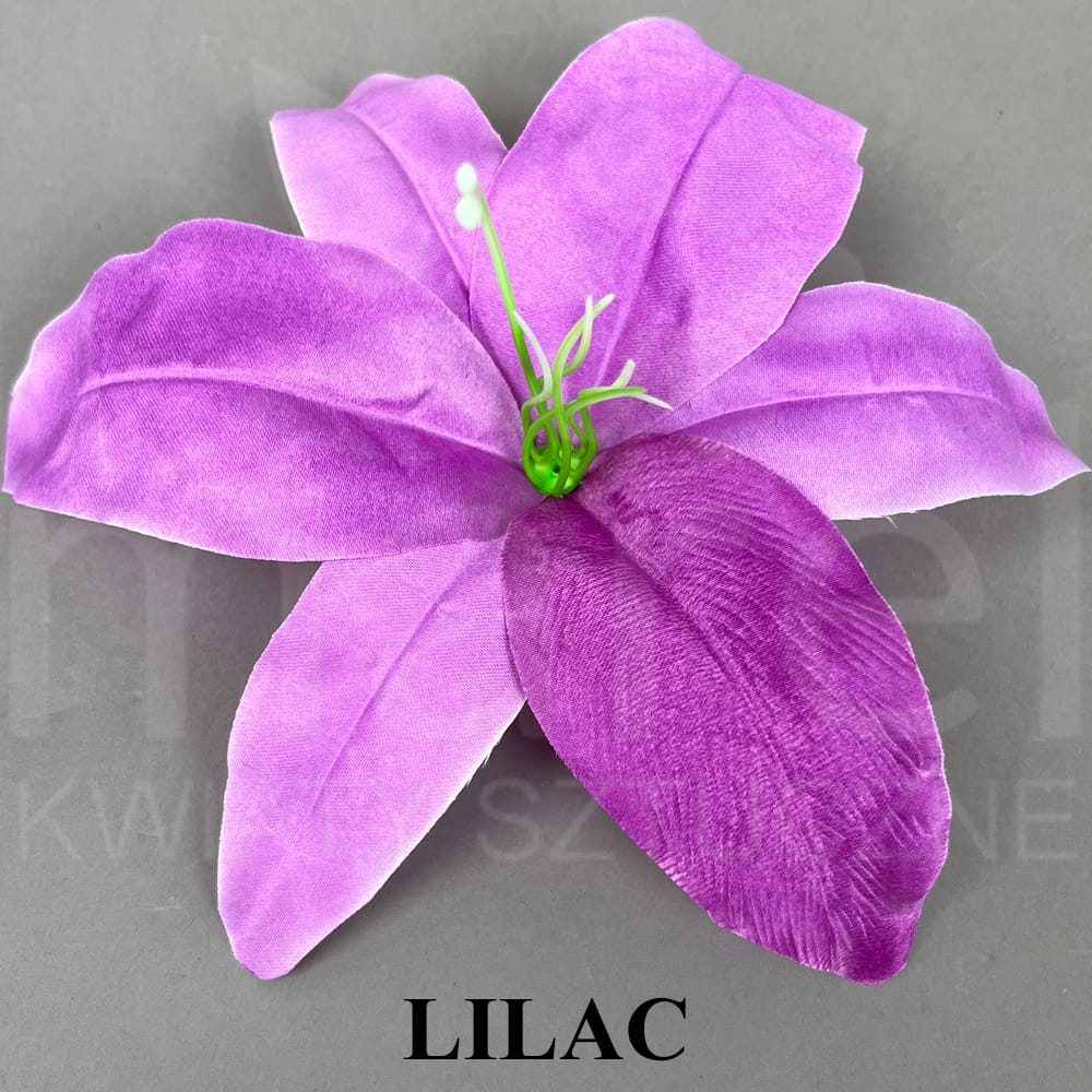 LILAC.jpg