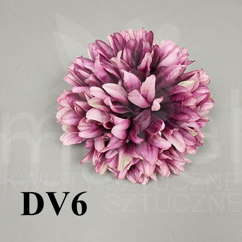 DV6.jpg