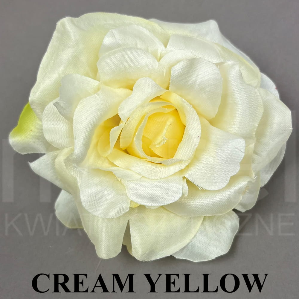 CREAM YELLOW.jpg