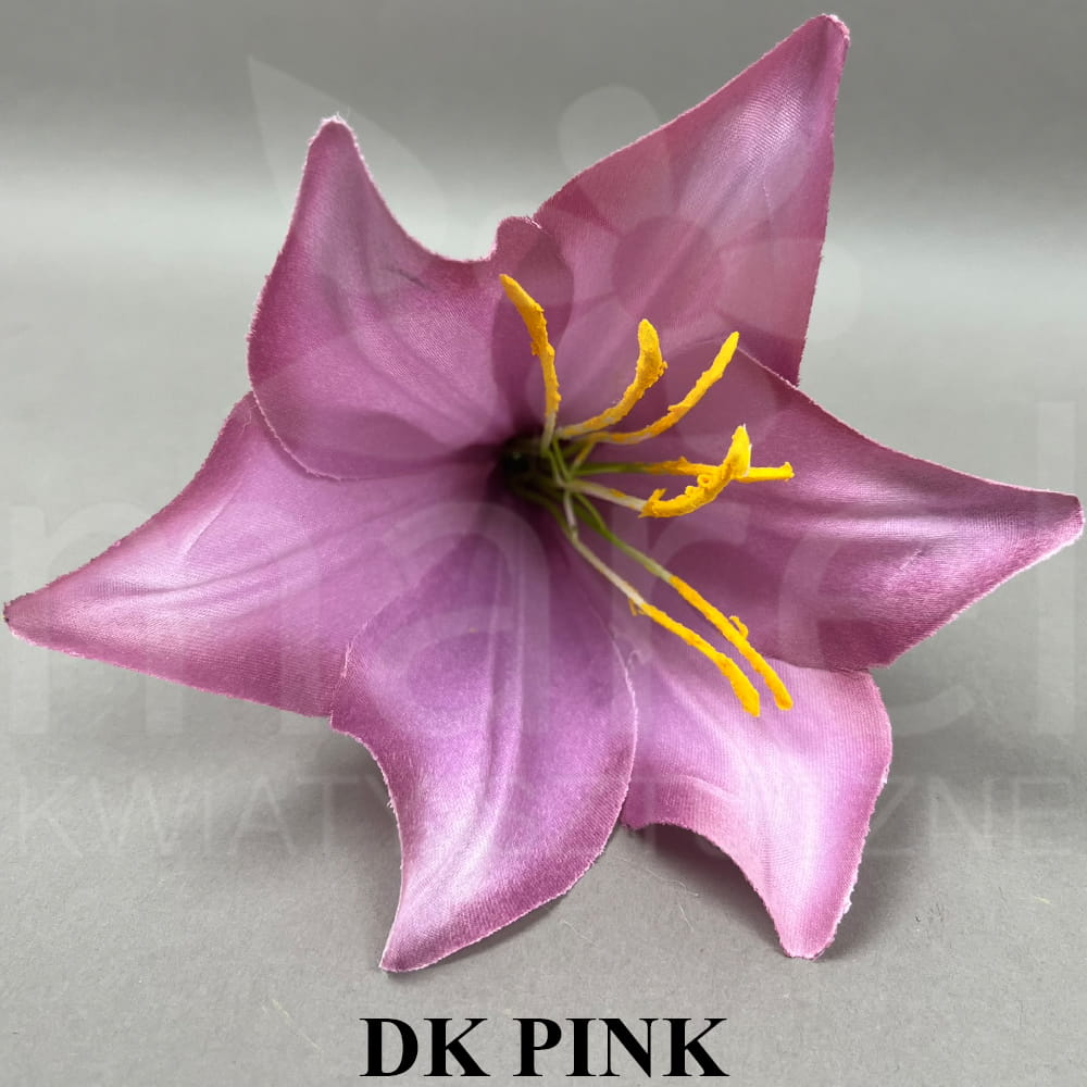 DK PINK.jpg