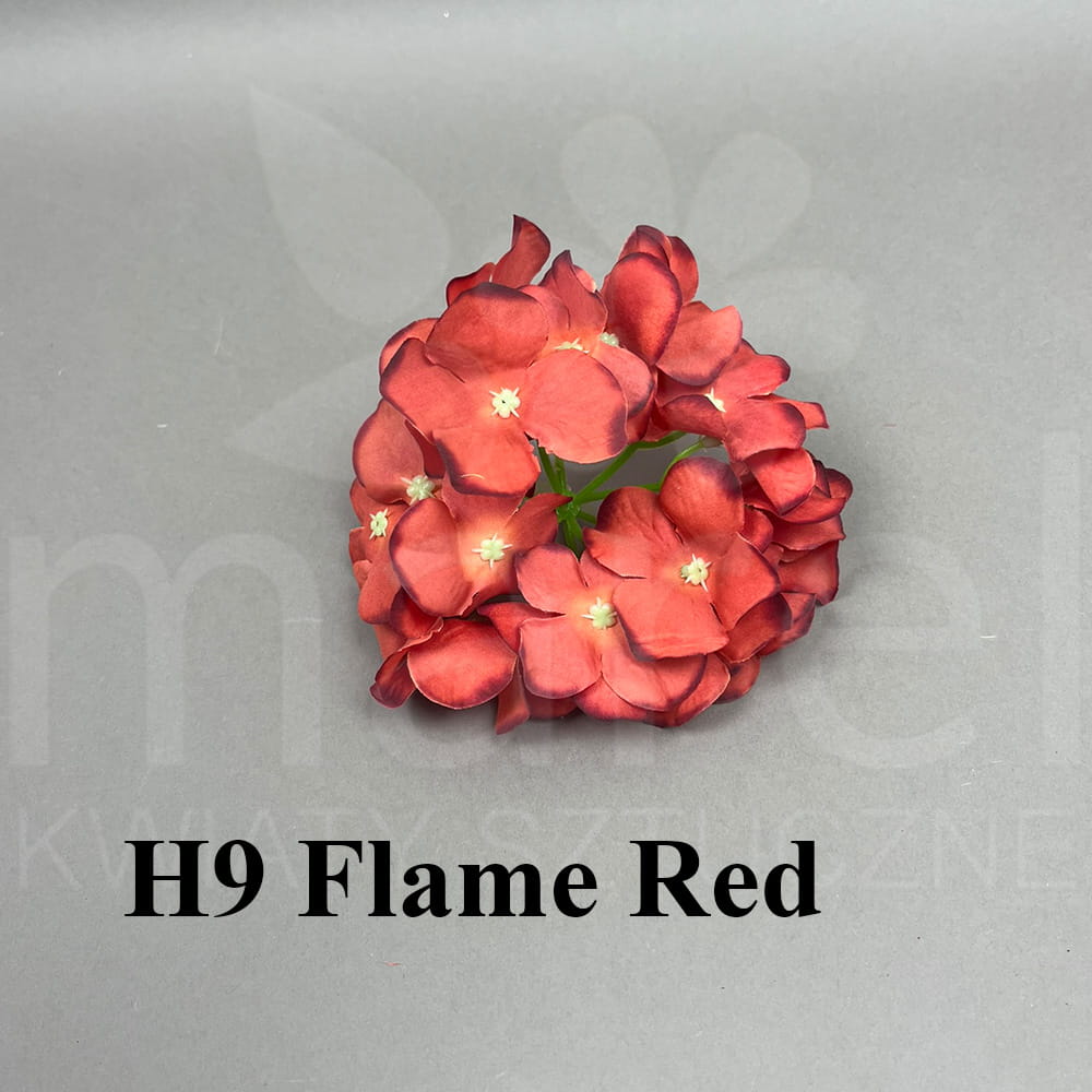 H9 Flame Red.jpg