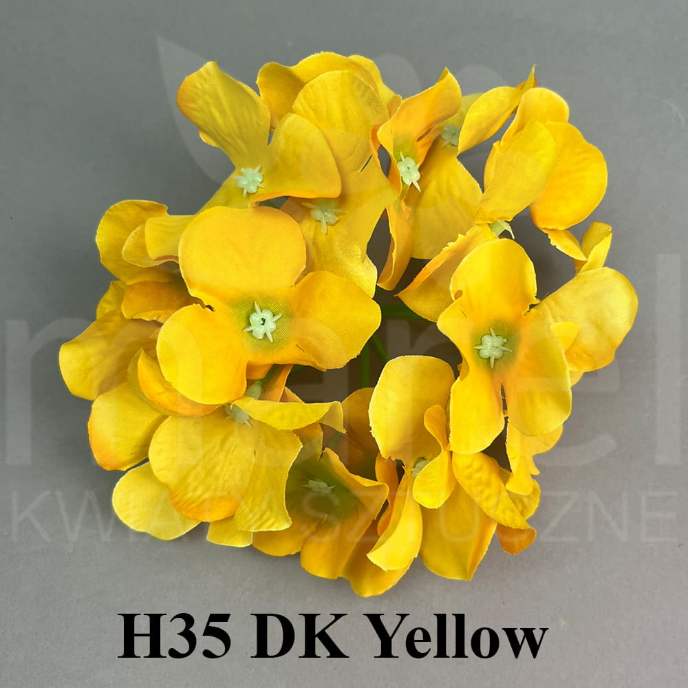 H35 DK Yellow.jpg
