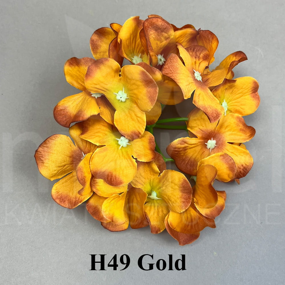 H49 Gold.jpg