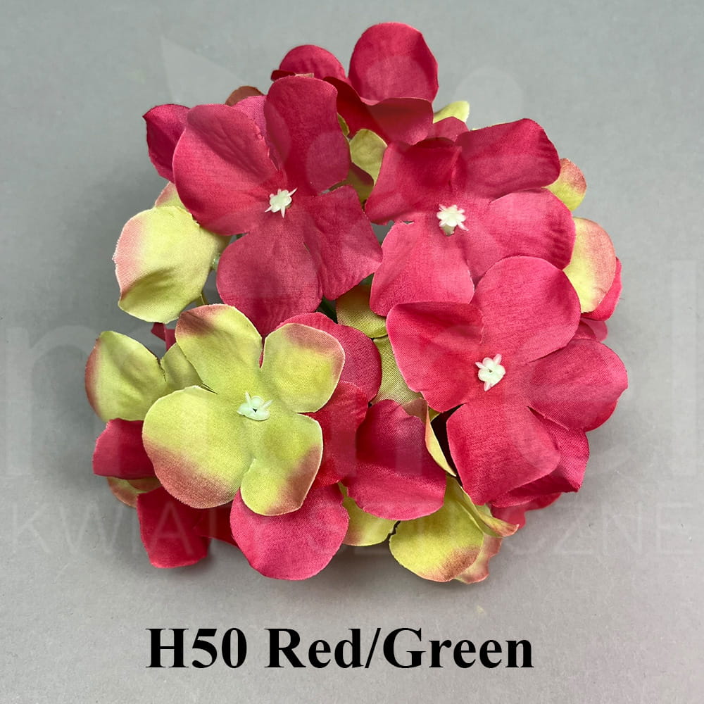 H50 Red Green.jpg