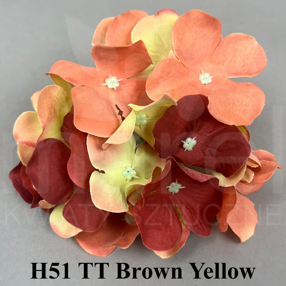 H51 TT Brown Yellow.jpg