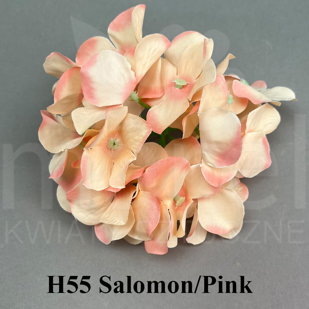 H55 Salomon Pink.jpg