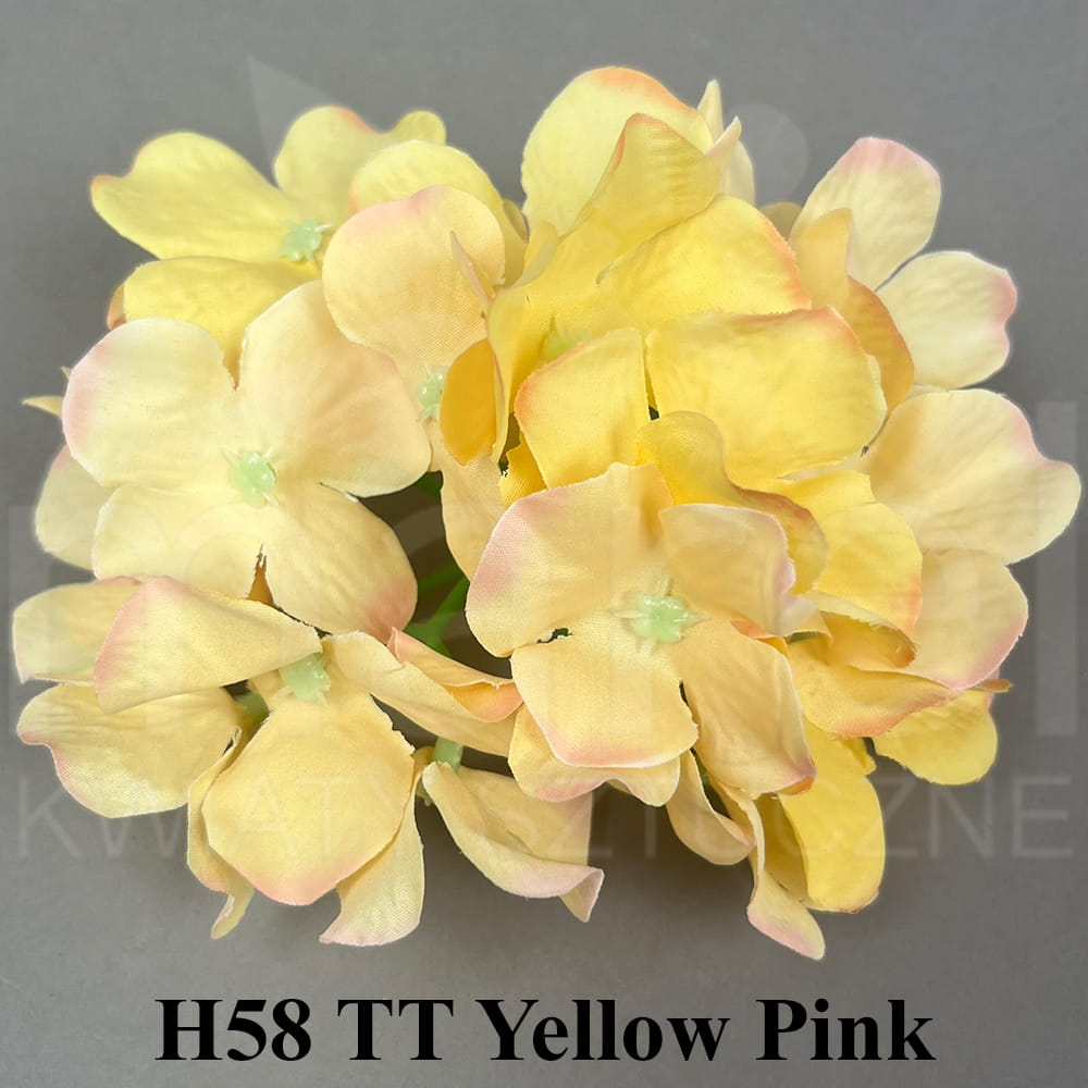 H58 TT Yellow Pink.jpg