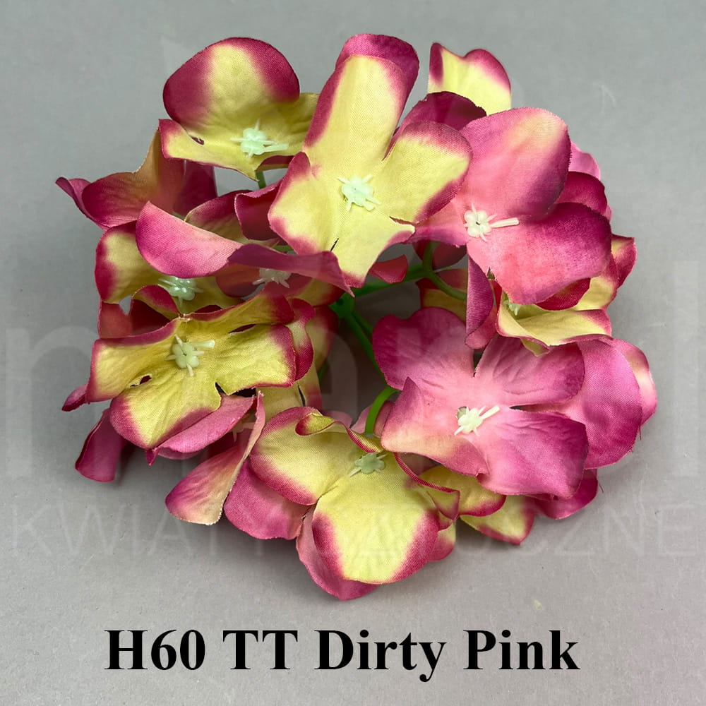 H60 TT Dirty Pink.jpg