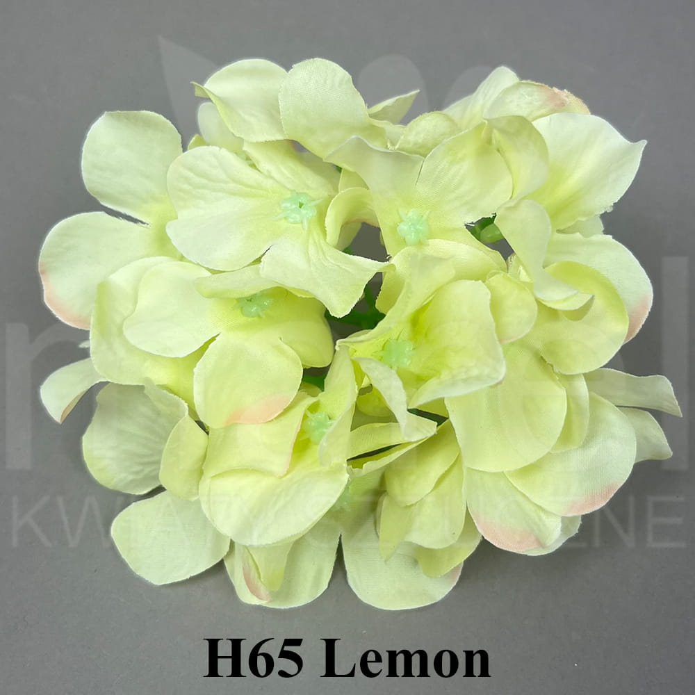 H65 LEMON.jpg