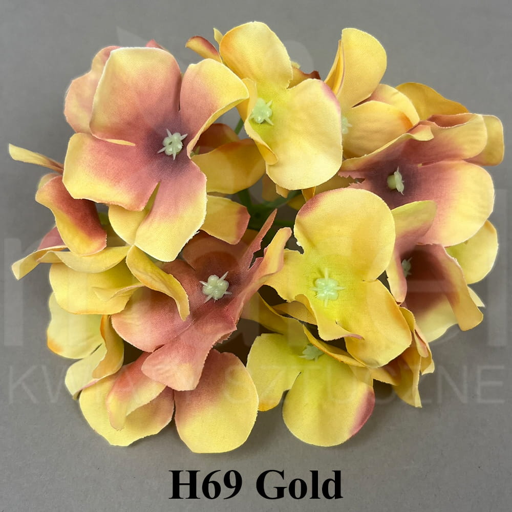 H69 Gold.jpg