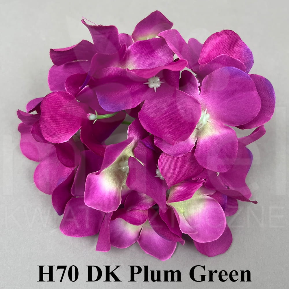 H70 DK PLUM GREEN.jpg
