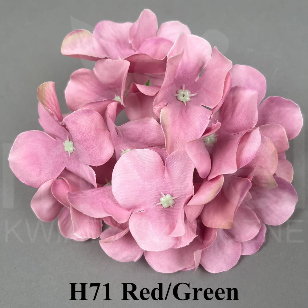 H71 Red Green.jpg